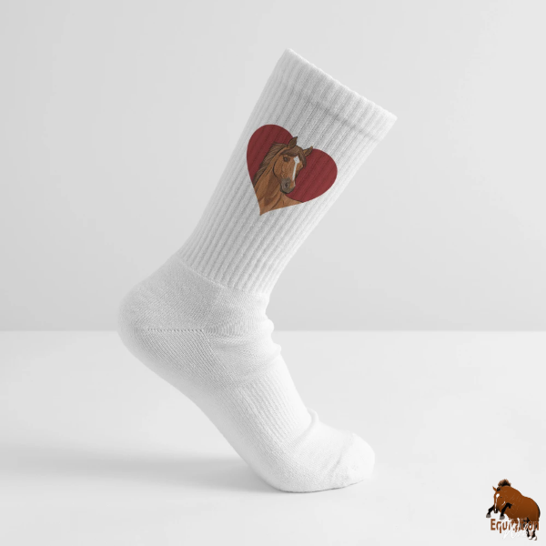 Le Cheval Dobrogeana sur une paire de chaussettes