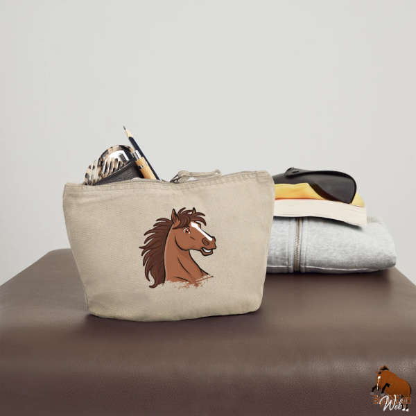 Le Cheval Assateague sur une pochette