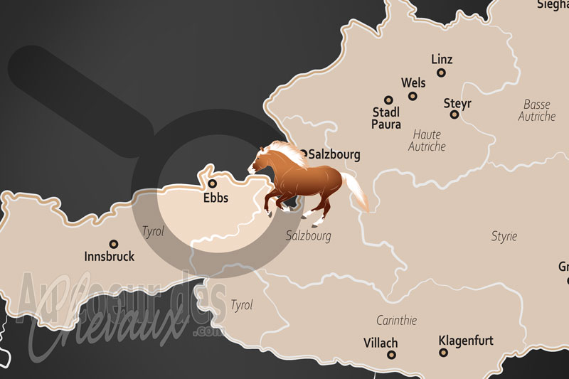 Ebbs, la capitale mondiale du cheval haflinger