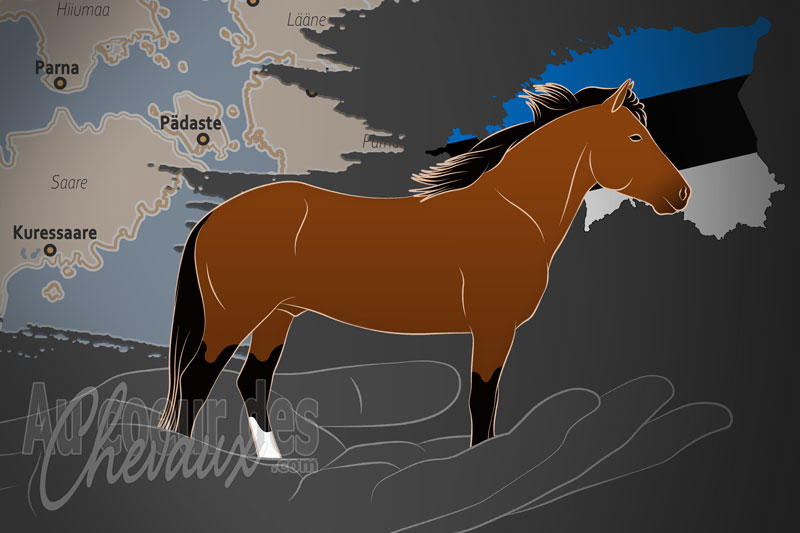 L'Eesti Hobuse Kaitse un organisme de race en Estonie