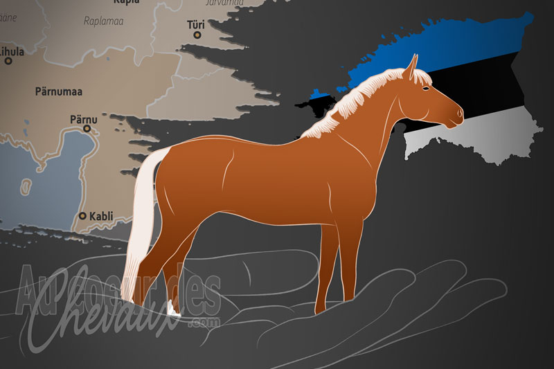 L'Eesti Hobusekasvatajate Selts un organisme de race en Estonie