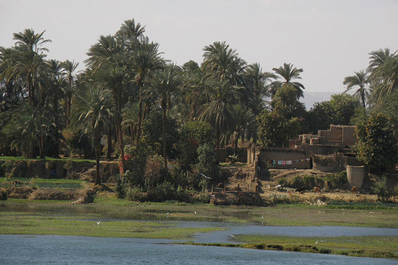 Une vue d'un paysage de l'�gypte
