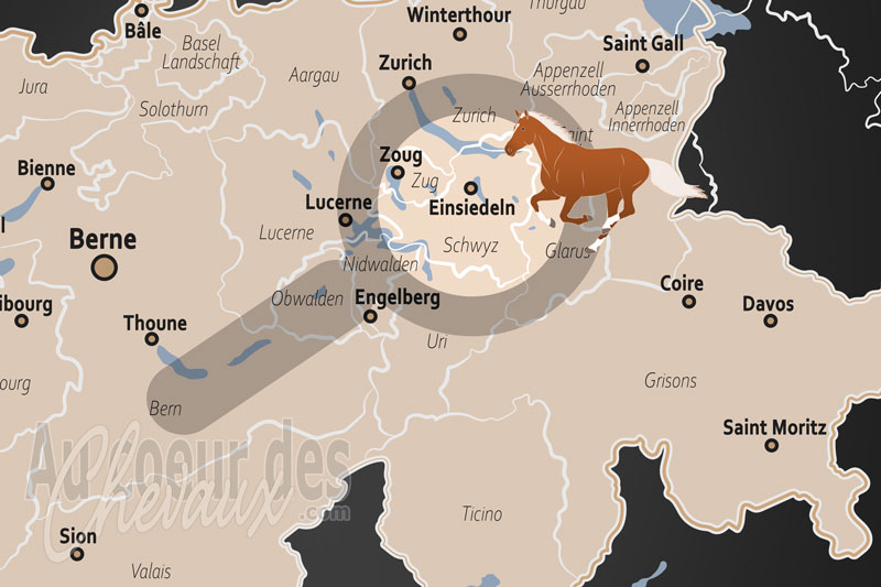 Einsiedeln, le berceau mill�naire du cheval de la vierge
