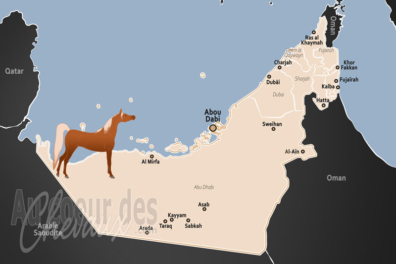 Les �mirats Arabes Unis, l'union de la tradition d�sertique et de la puissance technologique