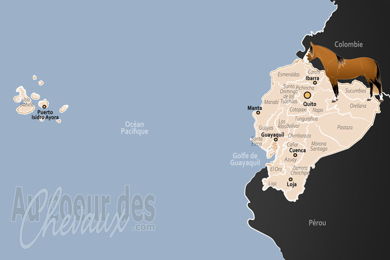 L'�quateur, entre tradition des andes et �l�gance du paso