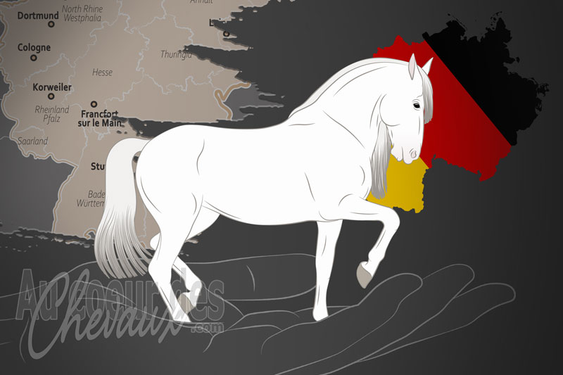 L'Erein der Freunde und Z�chter des Pferdes Reiner Spanisher Rasse un organisme de race en Allemagne