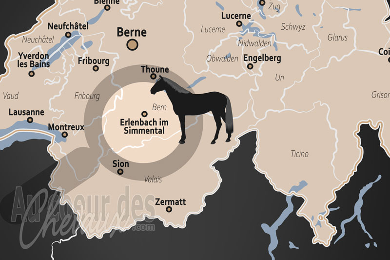 Erlenbach im Simmental, le berceau historique du cheval du simmental