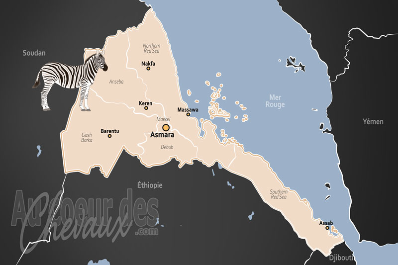 L'�rythr�e, les travailleurs de l'ombre de la corne de l'afrique