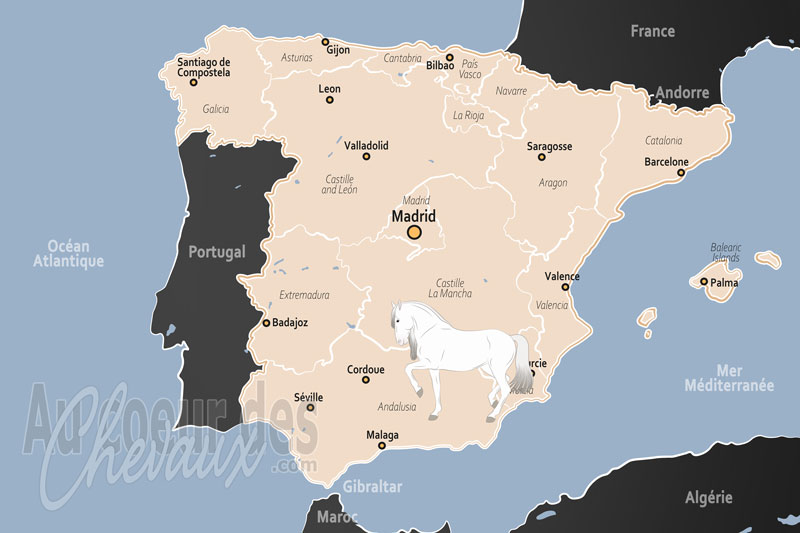 L'Espagne, berceau de la noblesse et de l'art �questre