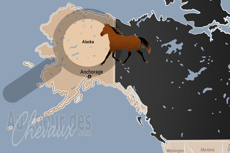 L'�tat d'Alaska, la r�silience �questre face � la � derni�re fronti�re �
