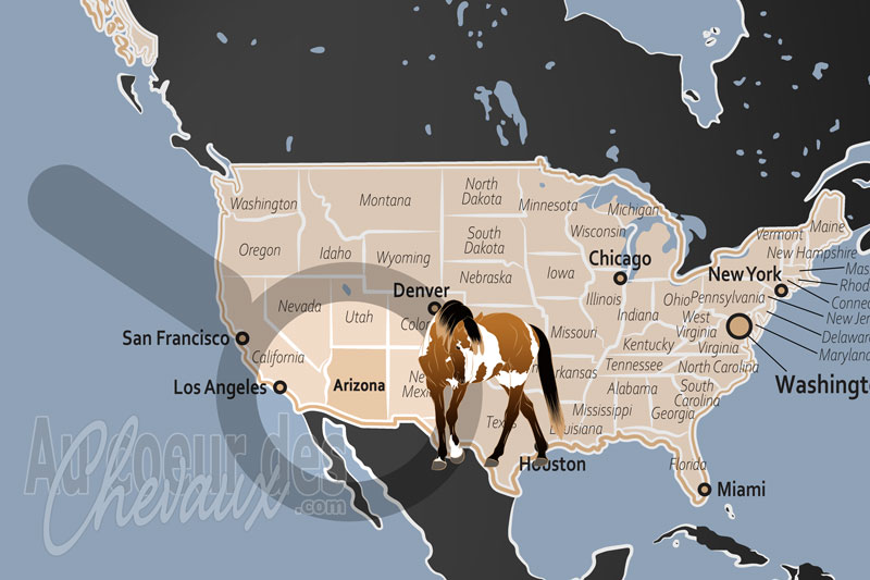 L'�tat d'Arizona, le royaume du cheval dans le grand sud-ouest