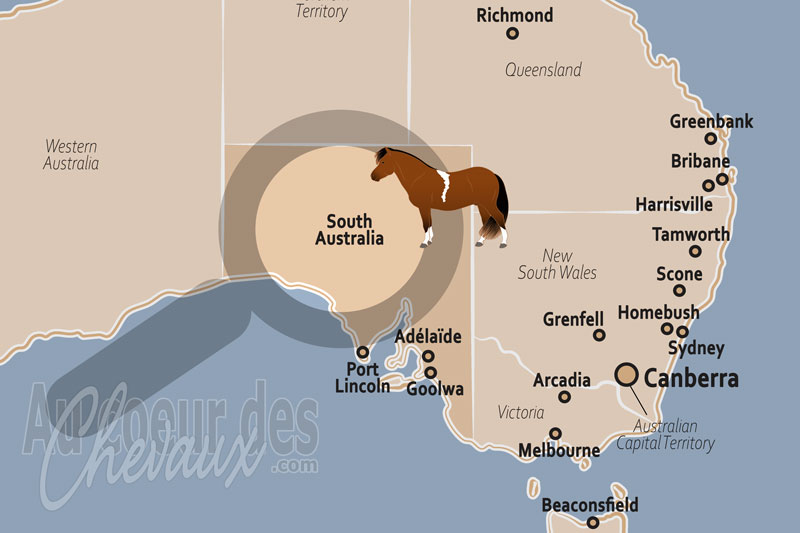 L'�tat d'Australie M�ridionale, entre prestige sportif et d�fis de l'outback