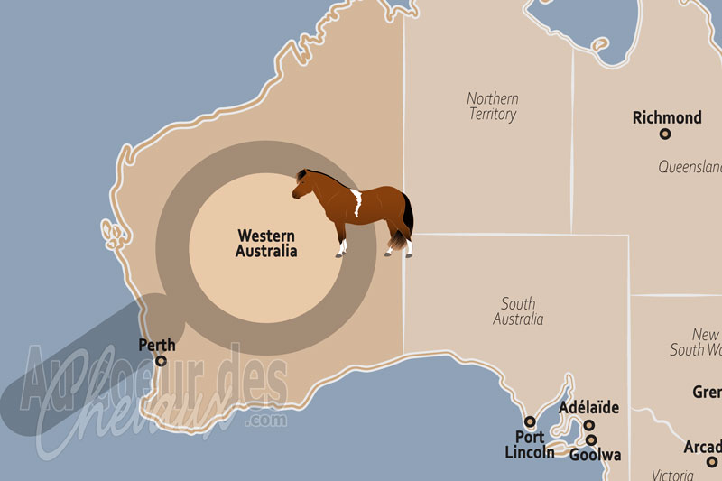 L'�tat d'Australie Occidentale, immensit�, r�silience et excellence de la fili�re �quine
