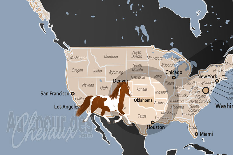 L'�tat d'Oklahoma, capitale mondiale des concours et �picentre de la culture western