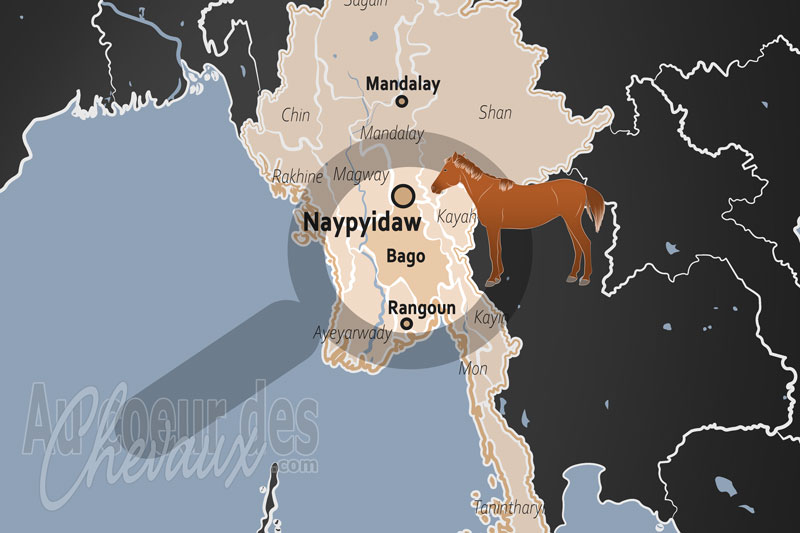 L'�tat de Bago, l'�quid� entre tradition royale et r�silience rurale