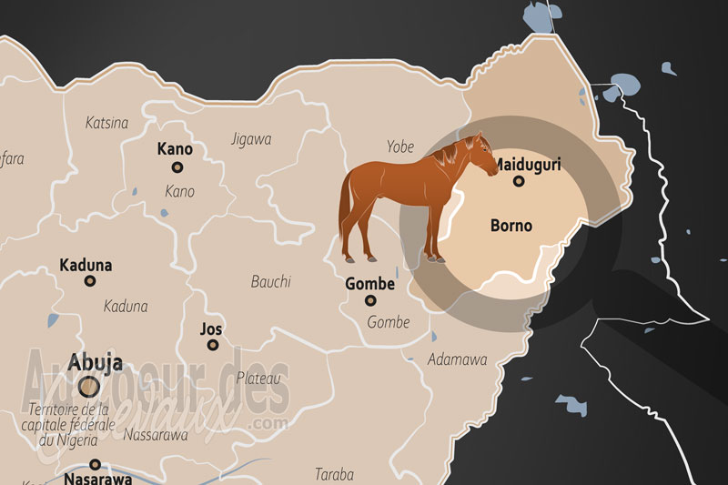 La localisation de l'�tat de Borno au Nig�ria