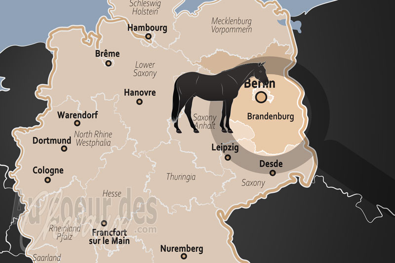 La localisation de l'�tat de Brandebourg en Allemagne