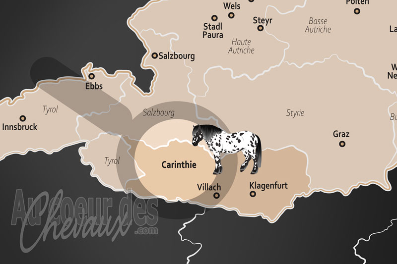 L'�tat de Carinthie, bastion du cheval de trait et de l'excellence alpine