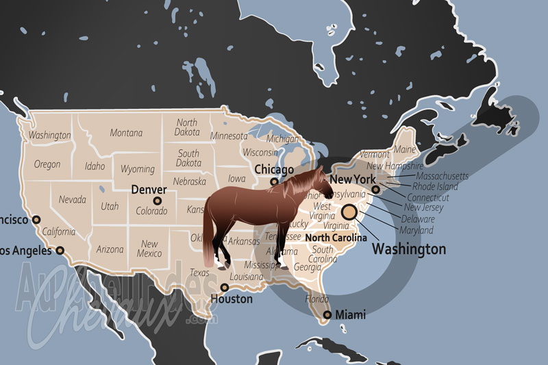 L'�tat de Caroline du Nord, entre chevaux sauvages des outer banks et �lite mondiale de l'�quitation