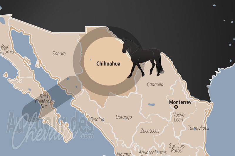 La localisation de l'�tat de Chihuahua au Mexique