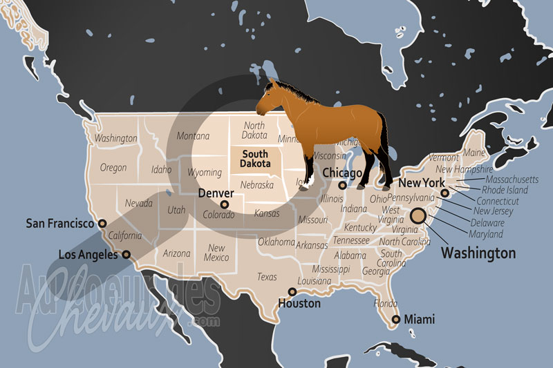 L'�tat de Dakota du Sud, �picentre de la culture �questre des plaines et terre de refuges