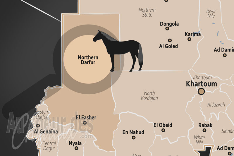 L'�tat de Darfour du Nord, l'h�ritage des cavaliers du sahel et la r�silience des �quid�s