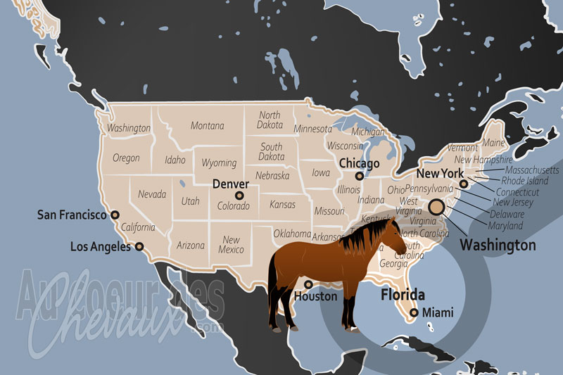 L'�tat de Floride, �picentre de l'�quitation hivernale et terre du florida cracker
