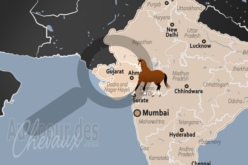 La localisation de l'�tat de Gujarat en Inde