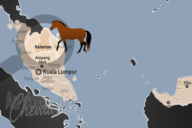 L'�tat de Kelantan, bastion du cheval natif et du prestige equestre de la c�te est