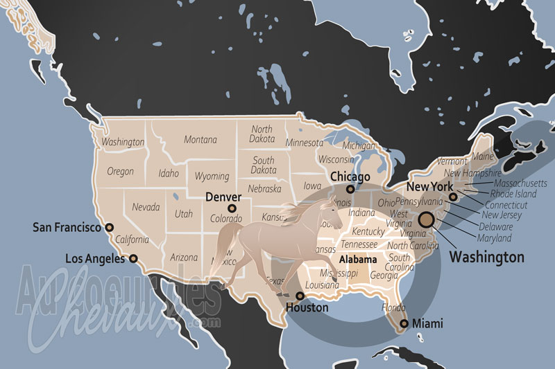 L'�tat de l'Alabama, un pilier de la culture �questre du � deep south �