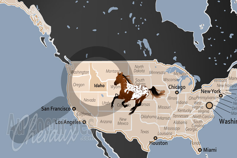 L'�tat de l'Idaho, sanctuaire de l'appaloosa et terre de l'h�ritage western