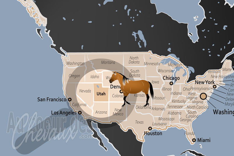 L'�tat de l'Utah, l'�pop�e de poussi�re et de roche rouge au royaume des mustangs