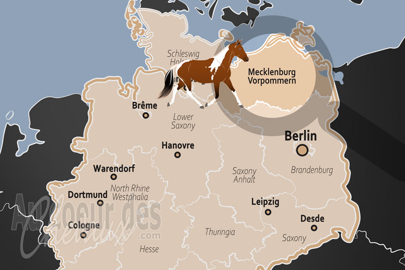 La localisation de l'�tat de Mecklembourg Pom�ranie Occidentale en Allemagne