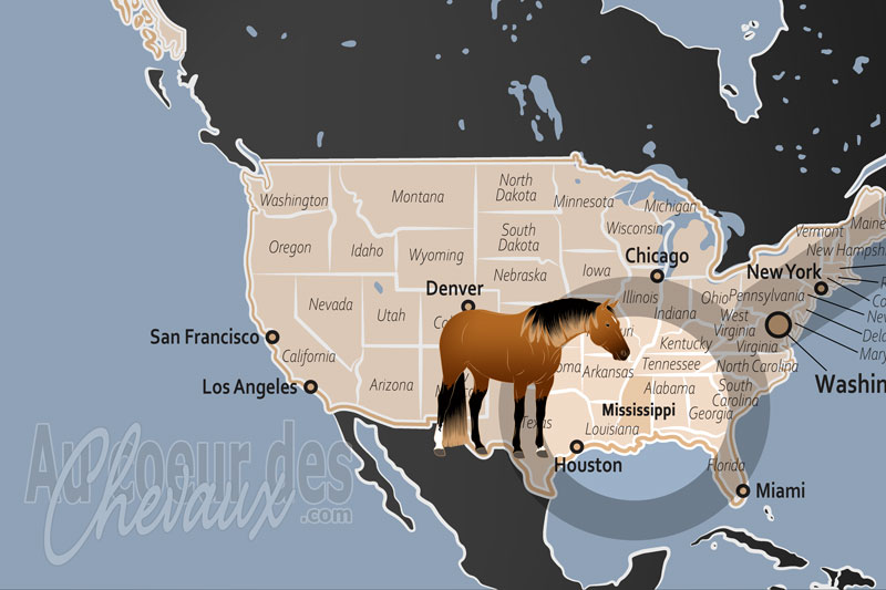 La localisation de l'�tat de Mississippi aux �tats Unis