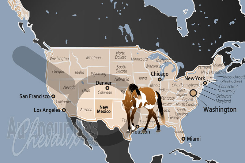 L'�tat de Nouveau Mexique, terre d'origine et royaume du quarter horse