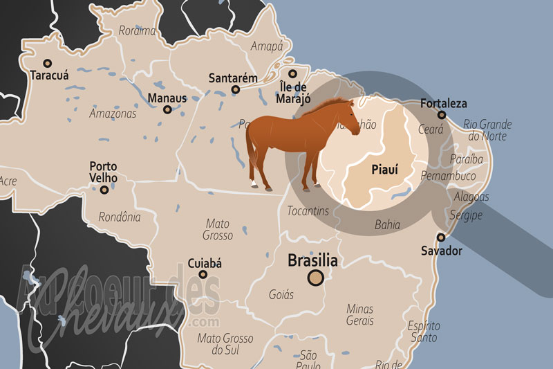 L'�tat de Piau�, berceau historique de l'�levage et terre de la vaquejada