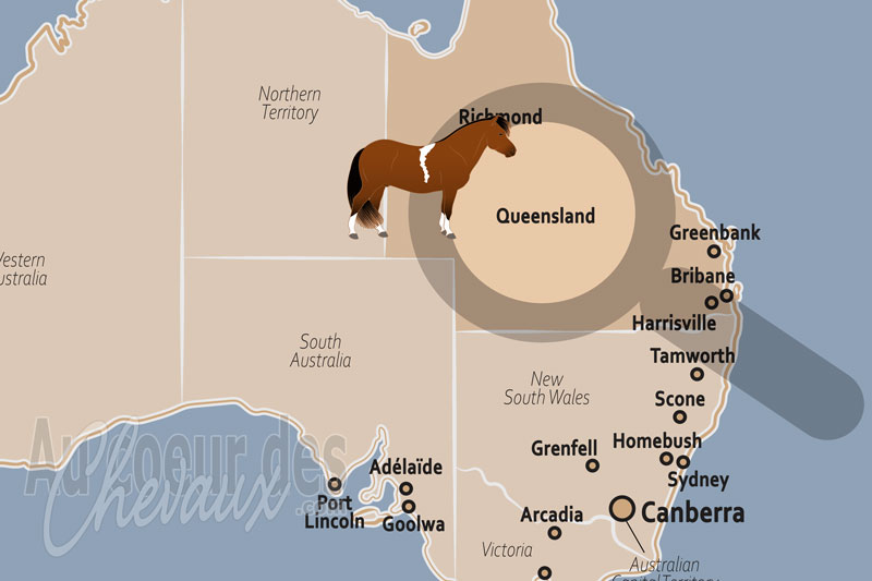L'�tat de Queensland, puissance pastorale et excellence �questre du � sunshine state �