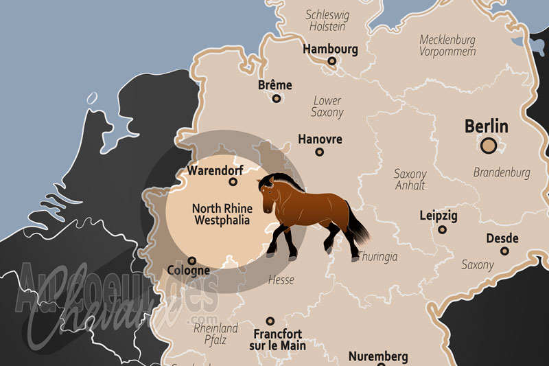 L'�tat de Rh�nanie du Nord Westphalie, �picentre mondial de l'excellence �questre