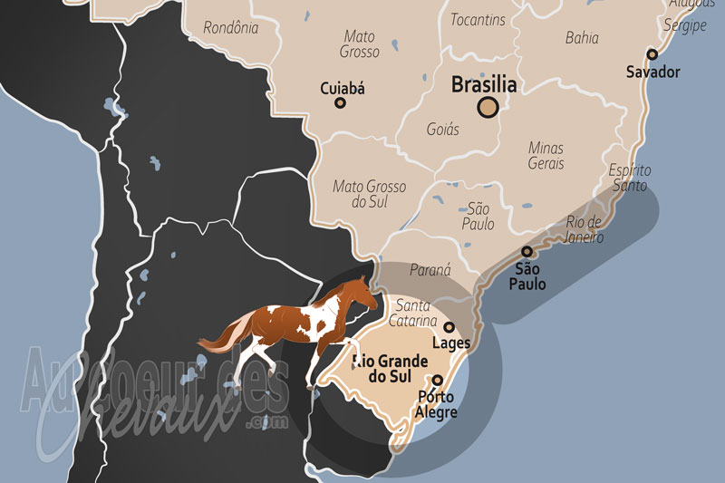 L'�tat de Rio Grande do Sul, quand le c?ur des gauchos bat au rythme du pampa