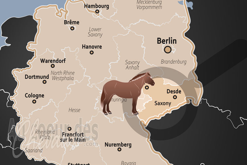 La localisation de l'�tat de Saxe en Allemagne