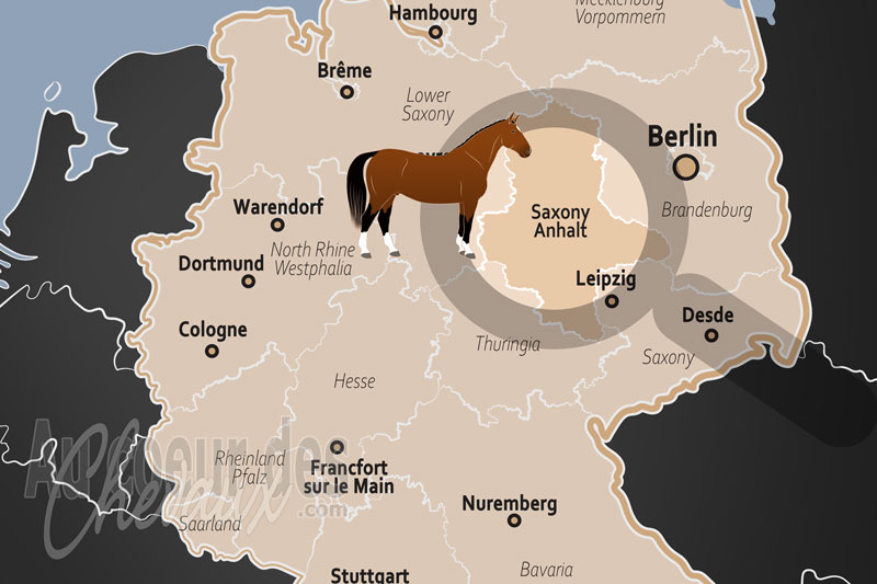 La localisation de l'�tat de Saxe Anhalt en Allemagne