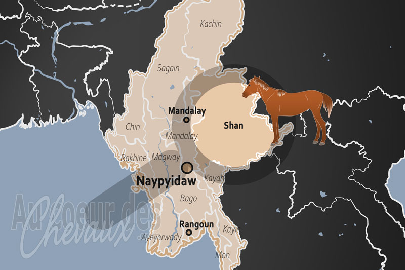 La localisation de l'�tat de Shan � Myanmar