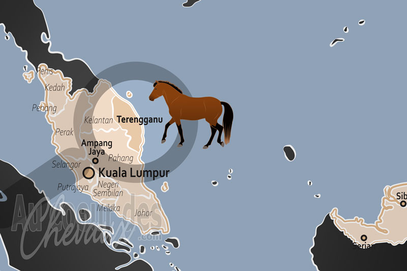 L'�tat de Terengganu, le royaume du galop infini sur les rives de la mer de chine