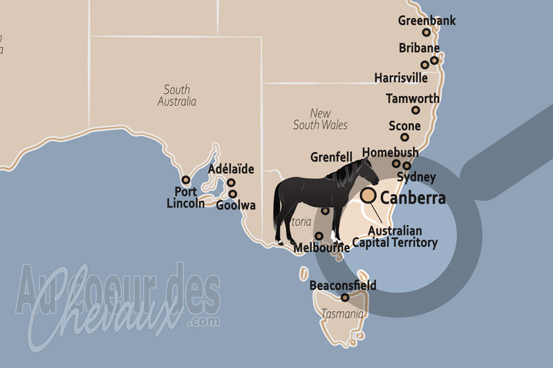 L'�tat de Territoire de la Capitale Australienne, l'esprit �questre au c?ur du territoire de la capitale