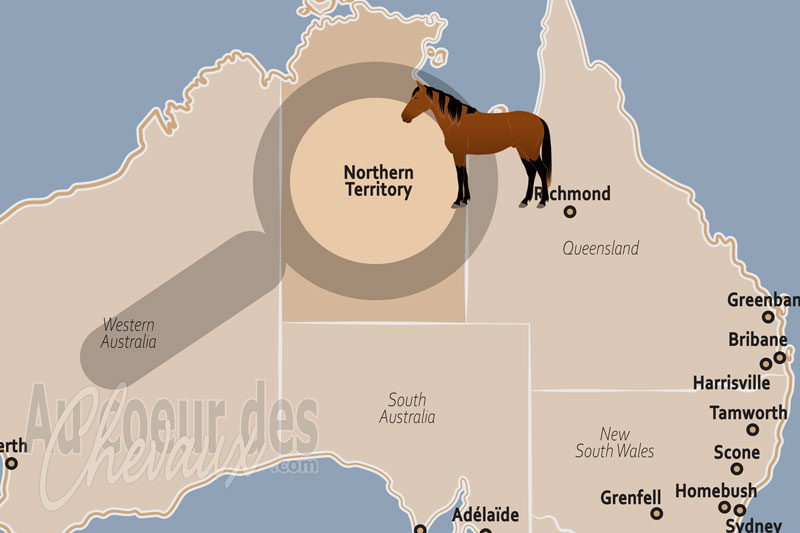 L'�tat de Territoire du Nord, le galop de la libert� au c?ur de l'outback