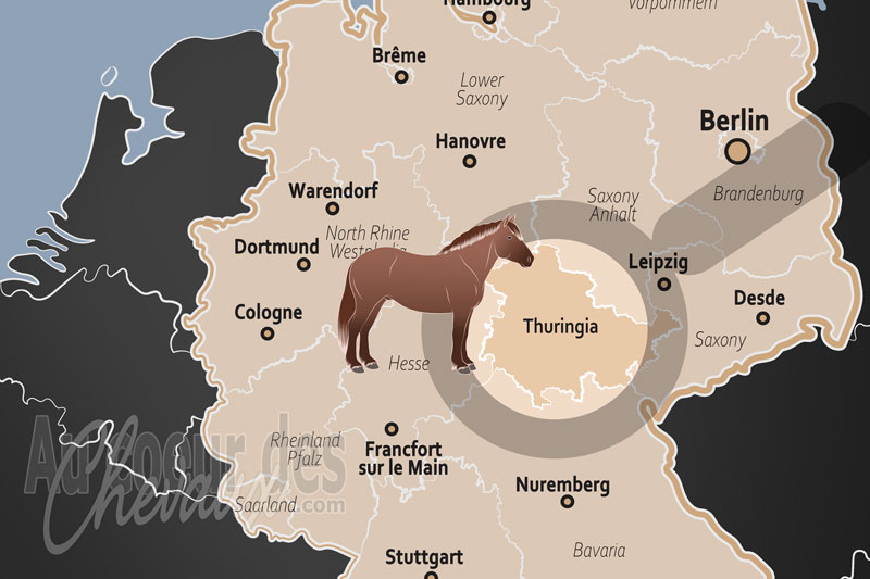 La localisation de l'�tat de Thuringe en Allemagne