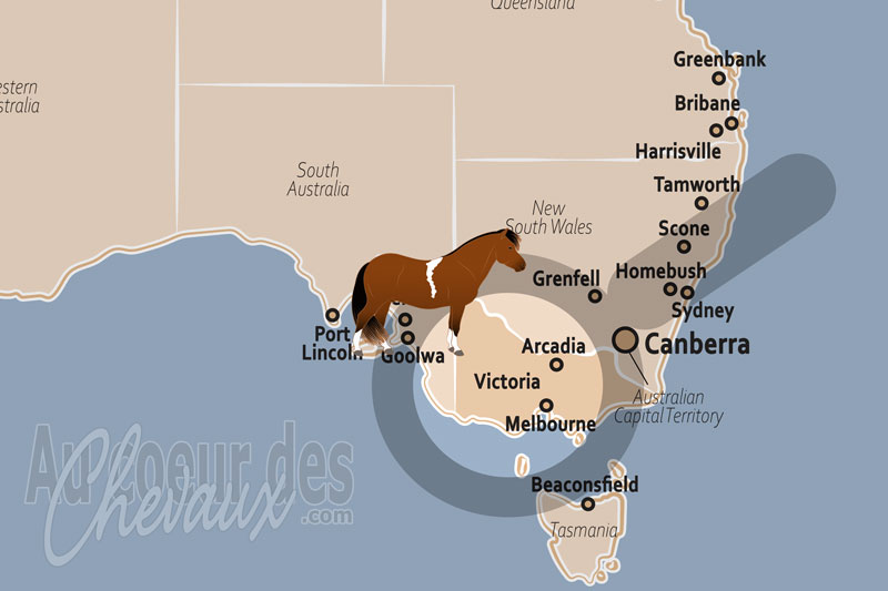 L'�tat de Victoria, le c?ur battant de l'australie �questre