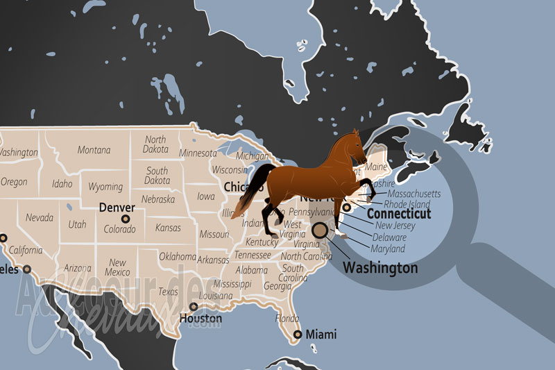 La localisation de l'�tat du Connecticut aux �tats Unis