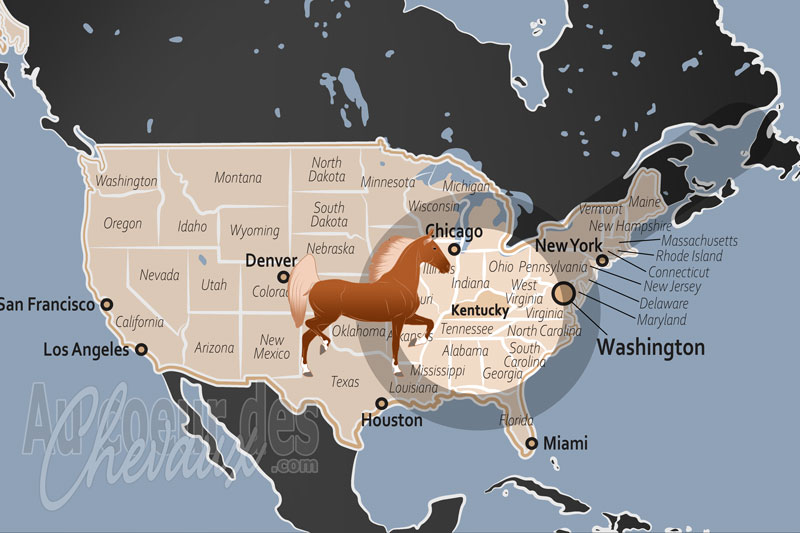 Le Kentucky, la capitale mondiale du cheval et le sanctuaire du bluegrass
