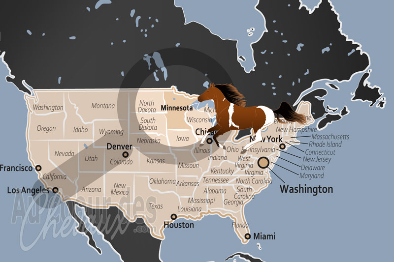 La localisation de l'�tat du Minnesota aux �tats Unis